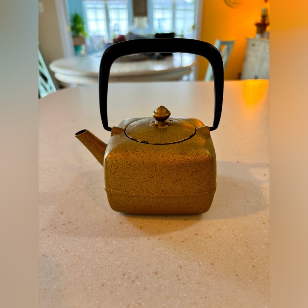 Cast Iron japanese teapot